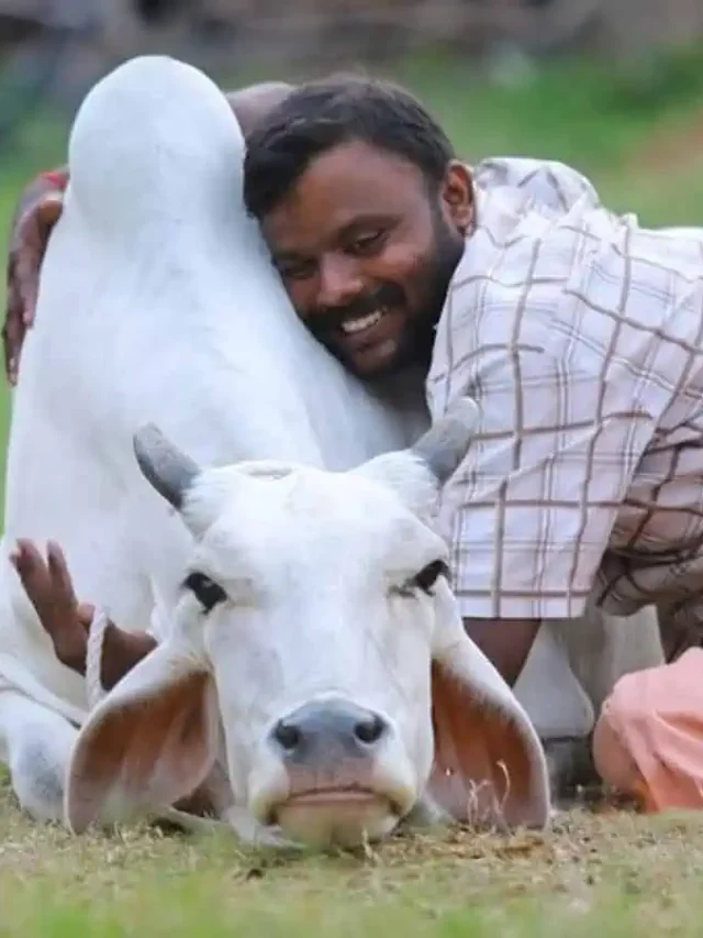 पशु परिचर चयन प्रक्रिया